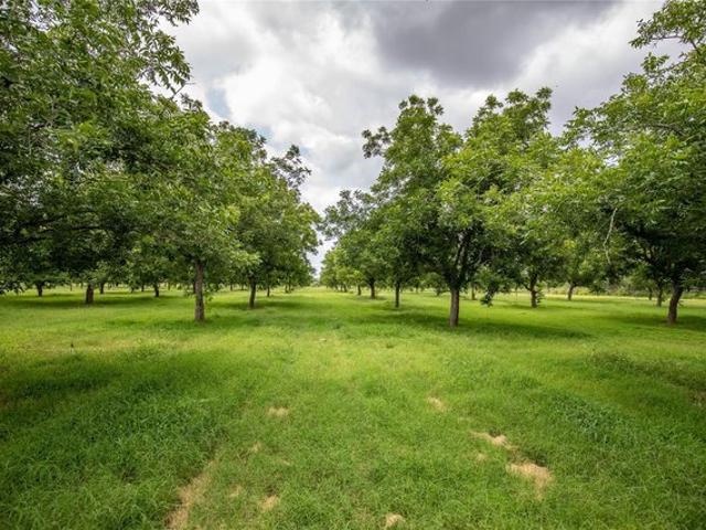 Farm for sale in Brooks, Texas