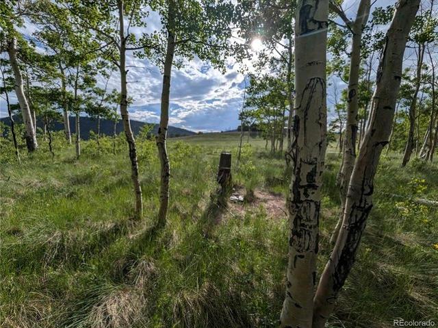 Land for sale in Fort Garland, Colorado