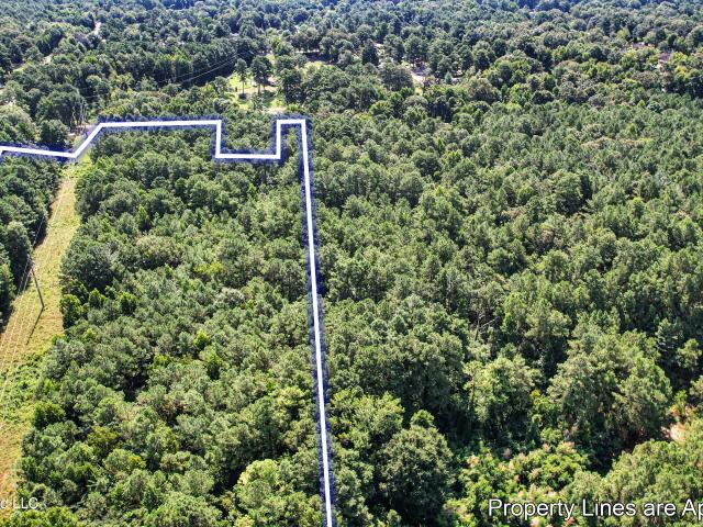 Land for sale in Bogue Chitto, Mississippi