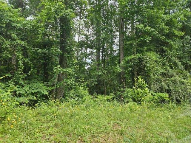 Land for sale in Conyers, Georgia