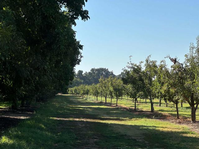 Land for sale in California