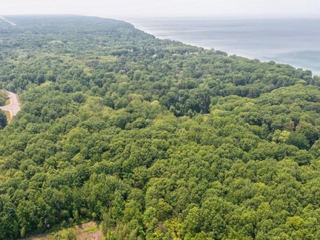 Land for sale in Fennville, Michigan