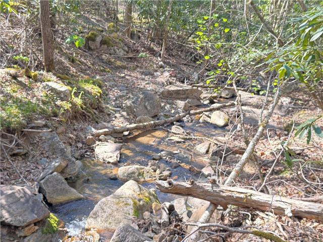 Land for sale in Watauga, North Carolina