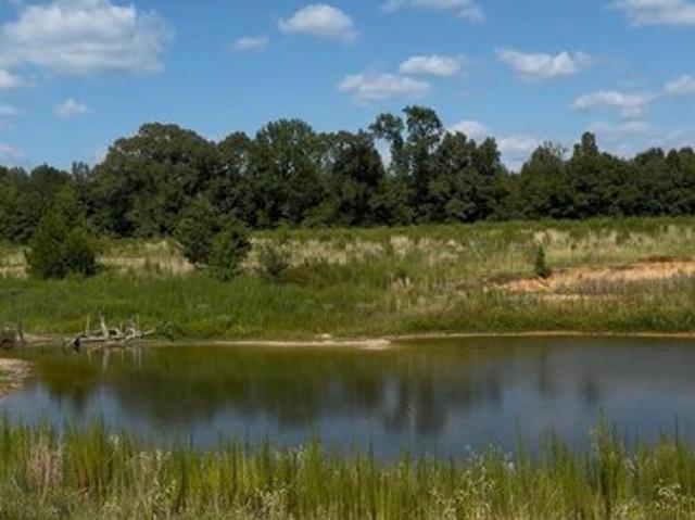Land for sale in Morris, Texas