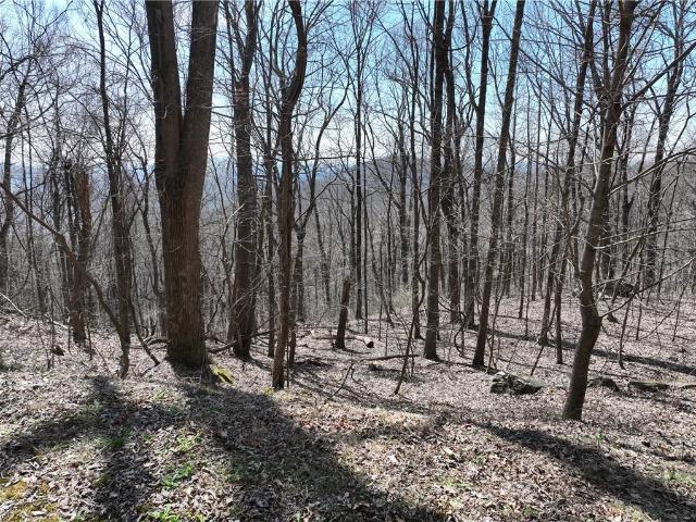 Land for sale in Gilmer, Georgia