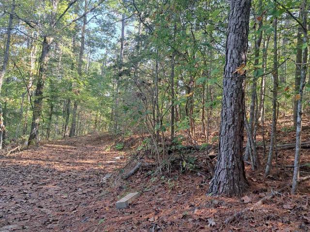 House for sale in Lineville, Randolph County