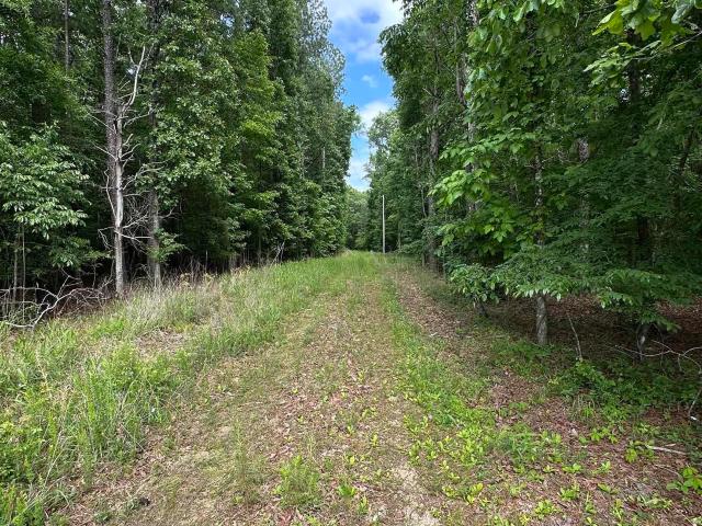 Land for sale in Etowah, Alabama