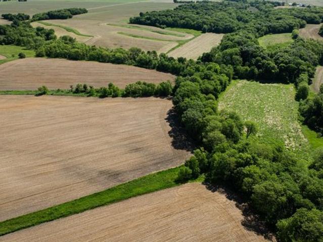 Farm for sale in Maquon, Illinois