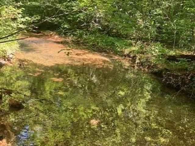 Land for sale in Fredericktown, Missouri