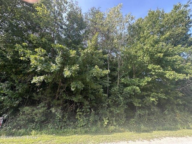 Land for sale in Nelson, Kentucky