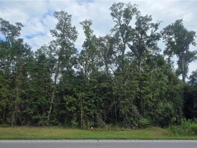 Land for sale in Guyton, Georgia