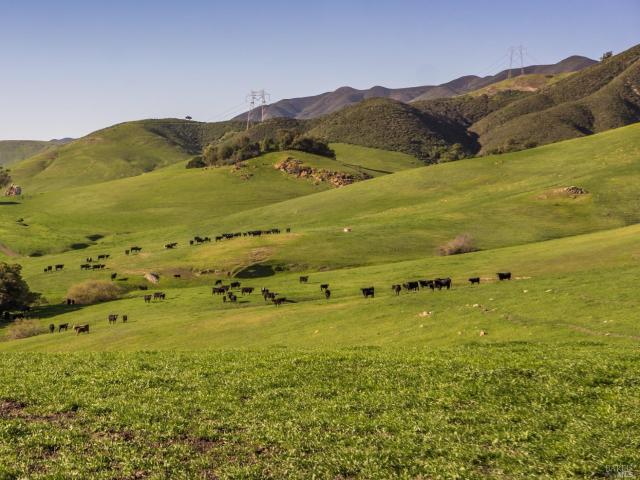 Property for sale in Morro Bay, California