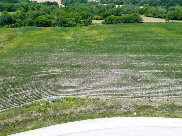 Land for sale in Galva, Illinois