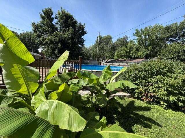House for sale in Springfield, Missouri