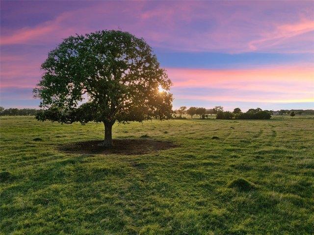 Land for sale in Axtell, Texas