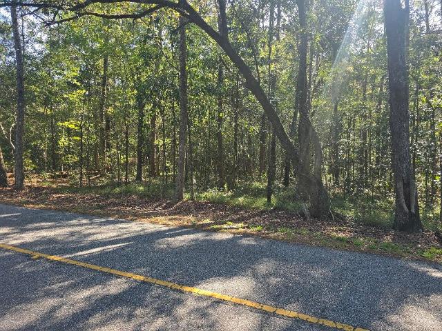 Land for sale in Red Oak Corner, Cottageville