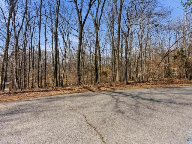 Land for sale in Elkmont, Alabama