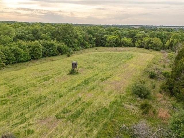 Farm for sale in Mexico, Audrain County
