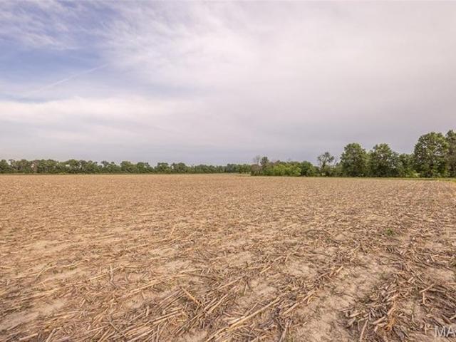 Farm for sale in Mexico, Audrain County
