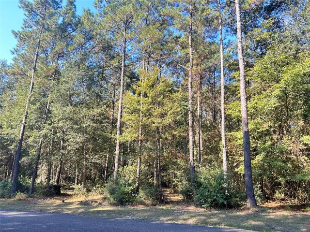 Land for sale in Magnolia, Texas