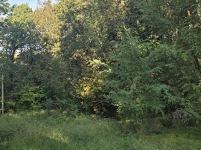 Land for sale in Afton, Ottawa County