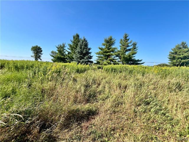 Land for sale in New York