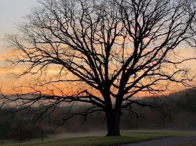 Farm for sale in Barry, Missouri