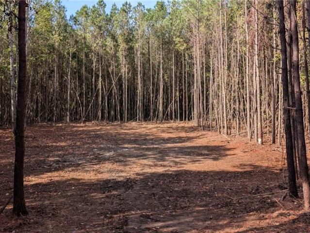 Land for sale in Ball Ground, Cherokee County