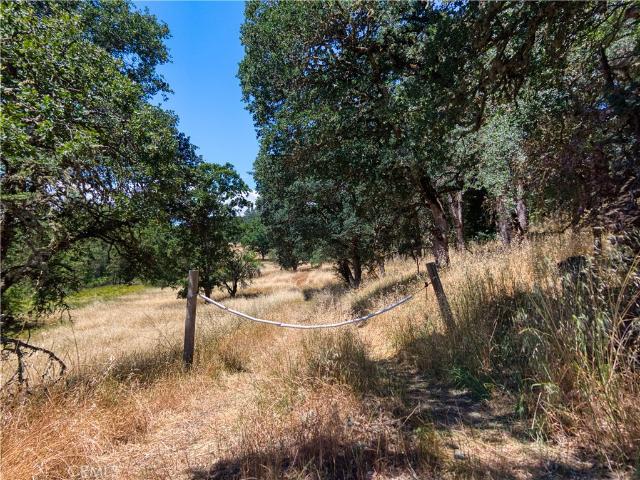 Land for sale in Lake, California