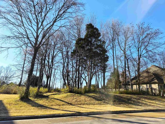 Land for sale in Tennessee