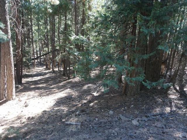 Land for sale in Quincy, Plumas County
