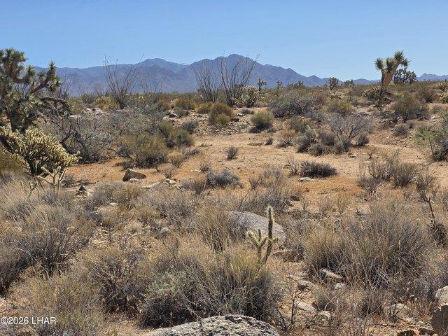 Land for sale in Yucca, Arizona