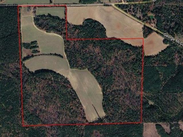 Land for sale in Buena Vista, Georgia