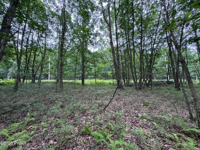Land for sale in Hazleton, Pennsylvania