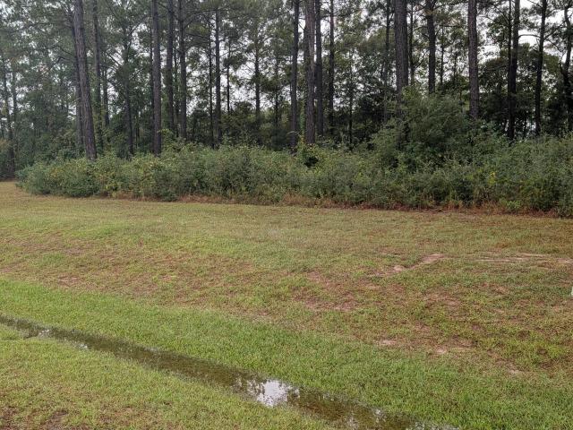 Land for sale in Holly Ridge, Onslow County