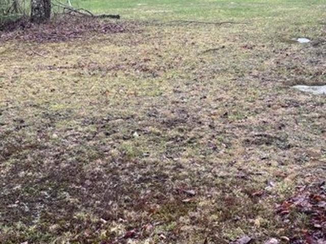 Land for sale in Burlington, Maine