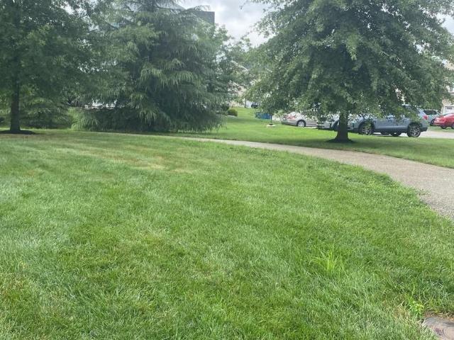 Townhouse for rent in Wyncote, Pennsylvania