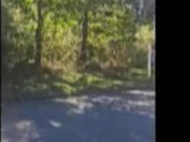 Land for sale in Chelsea, Alabama