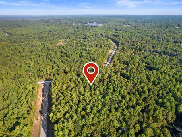 Land for sale in Walker, Texas