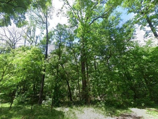Land for sale in Fort White, Florida