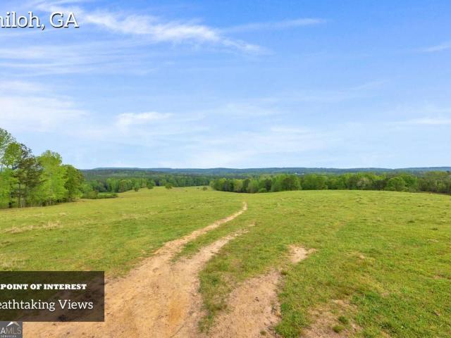 Land for sale in Talbot, Georgia
