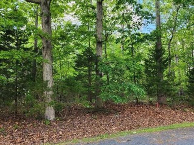 Land for sale in Greenbackville, Accomack County