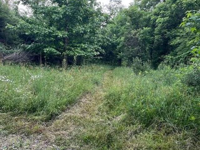 Land for sale in Sardinia, Ohio