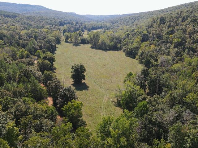 Land for sale in Witter, Madison County