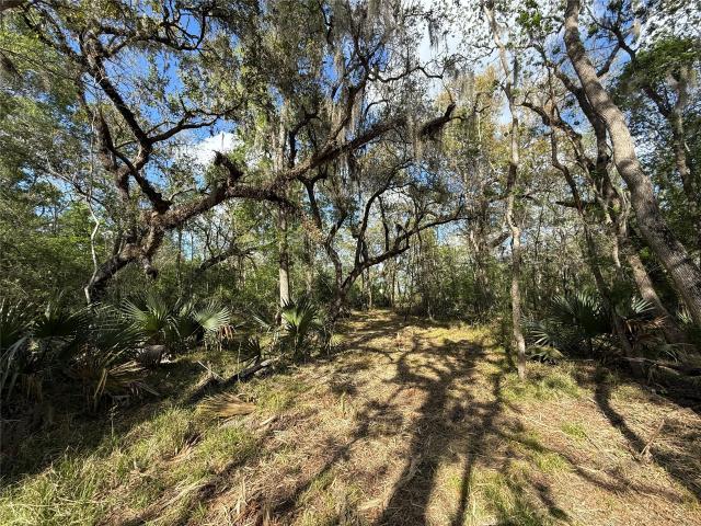 Land for sale in Sweeny, Texas