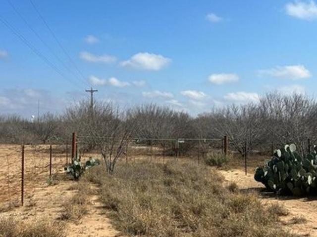 Land for sale in Carrizo Springs, Texas