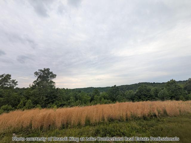 Land for sale in Kentucky