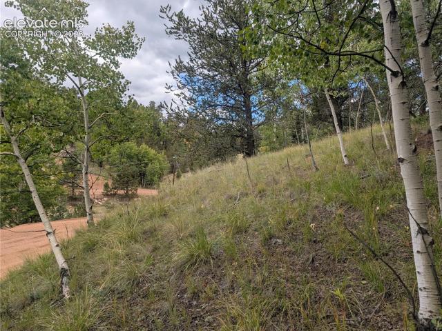 Land for sale in Teller, Colorado