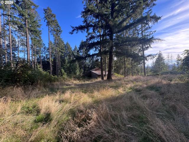 Land for sale in Junction City, Lane County