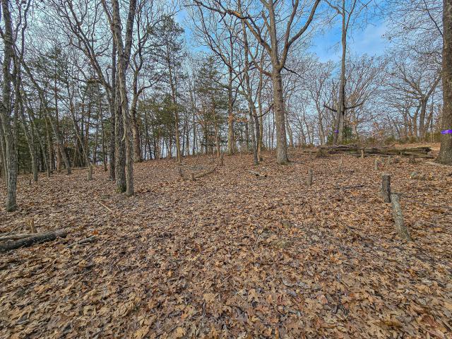 Land for sale in Hickory, Missouri